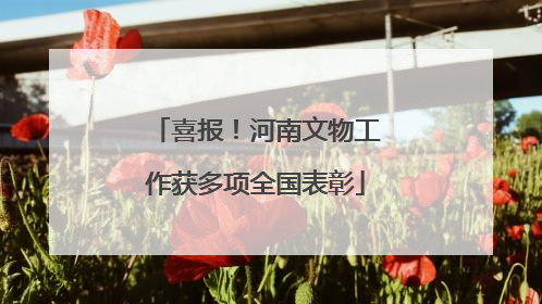 喜报！河南文物工作获多项全国表彰
