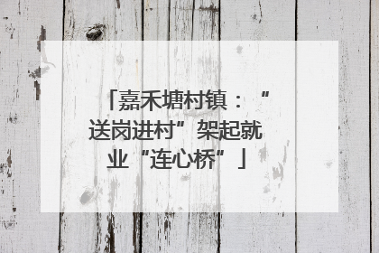 嘉禾塘村镇：“送岗进村”架起就业“连心桥”