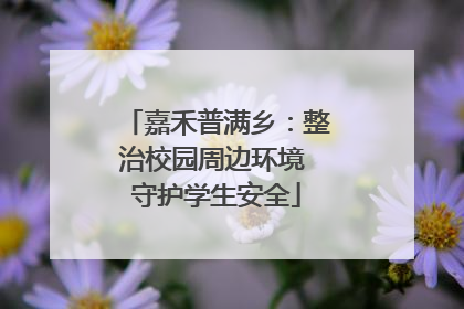 嘉禾普满乡：整治校园周边环境 守护学生安全