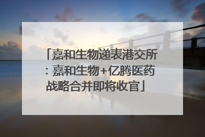 嘉和生物递表港交所：嘉和生物+亿腾医药战略合并即将收官