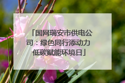 国网瑞安市供电公司：绿色同行添动力 低碳赋能环境日