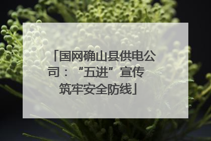 国网确山县供电公司：“五进”宣传 筑牢安全防线