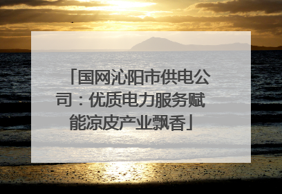 国网沁阳市供电公司：优质电力服务赋能凉皮产业飘香