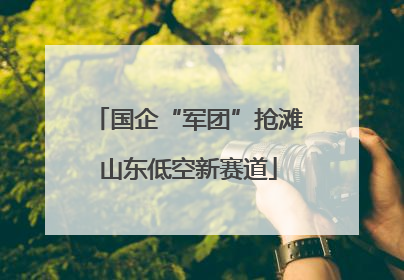 国企“军团”抢滩山东低空新赛道