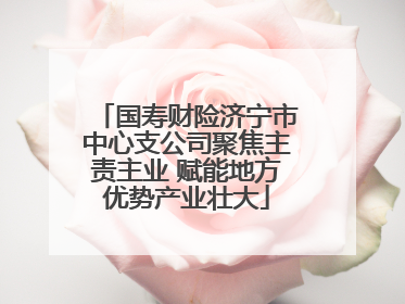 国寿财险济宁市中心支公司聚焦主责主业 赋能地方优势产业壮大