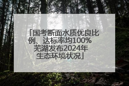 国考断面水质优良比例、达标率均100% 芜湖发布2024年生态环境状况