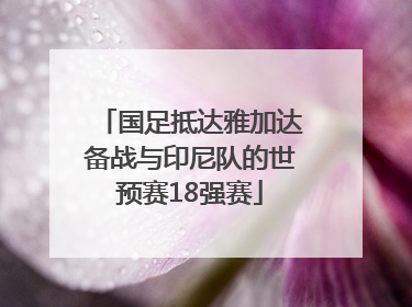 国足抵达雅加达备战与印尼队的世预赛18强赛