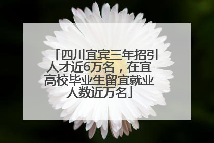 四川宜宾三年招引人才近6万名，在宜高校毕业生留宜就业人数近万名