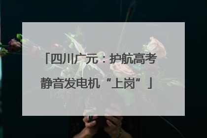 四川广元：护航高考 静音发电机“上岗”