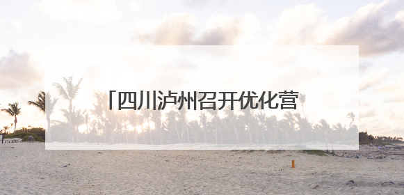 四川泸州召开优化营商网络环境专项行动工作推进会 涉企网络乱象集中整治初见成效