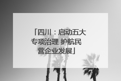 四川：启动五大专项治理 护航民营企业发展