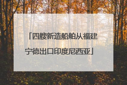 四艘新造船舶从福建宁德出口印度尼西亚