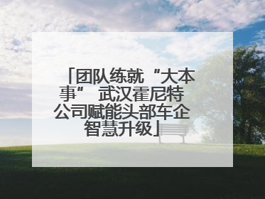 团队练就“大本事” 武汉霍尼特公司赋能头部车企智慧升级