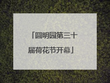 圆明园第三十届荷花节开幕