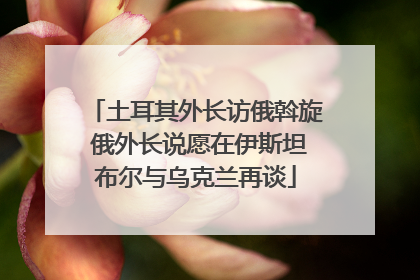 土耳其外长访俄斡旋 俄外长说愿在伊斯坦布尔与乌克兰再谈