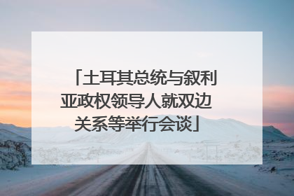 土耳其总统与叙利亚政权领导人就双边关系等举行会谈