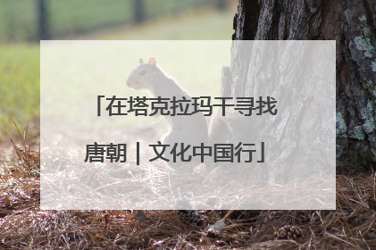 在塔克拉玛干寻找唐朝｜文化中国行