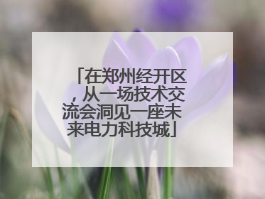 在郑州经开区，从一场技术交流会洞见一座未来电力科技城