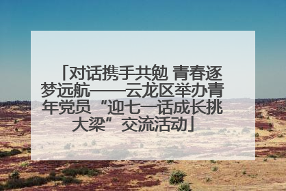 对话携手共勉 青春逐梦远航——云龙区举办青年党员“迎七一话成长挑大梁”交流活动