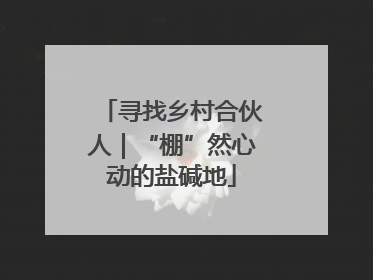 寻找乡村合伙人｜“棚”然心动的盐碱地