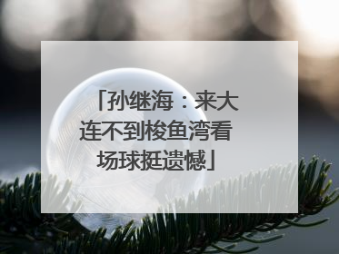 孙继海：来大连不到梭鱼湾看场球挺遗憾