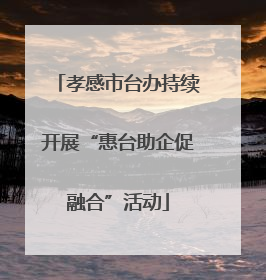 孝感市台办持续开展“惠台助企促融合”活动