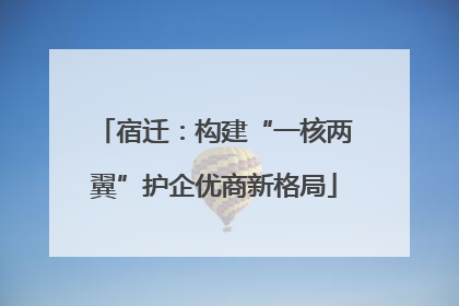 宿迁：构建“一核两翼”护企优商新格局