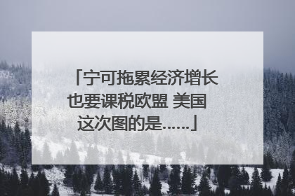 宁可拖累经济增长也要课税欧盟 美国这次图的是……