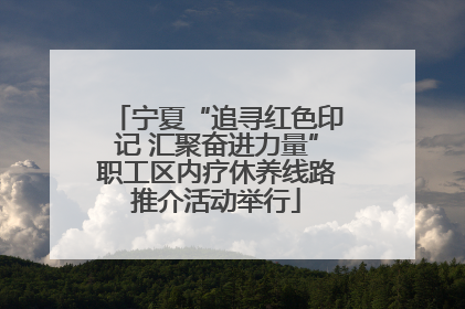 宁夏“追寻红色印记 汇聚奋进力量”职工区内疗休养线路推介活动举行