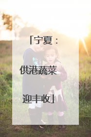 宁夏：供港蔬菜迎丰收