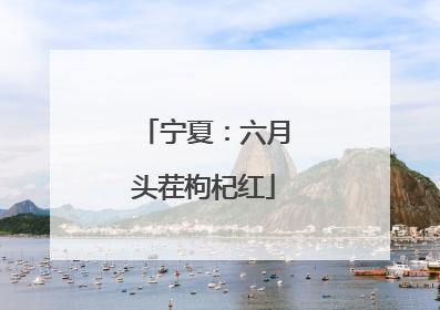 宁夏：六月头茬枸杞红