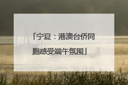 宁夏：港澳台侨同胞感受端午氛围