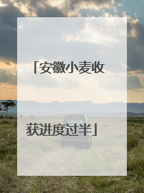 安徽小麦收获进度过半