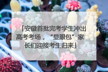 安徽首批完考学生冲出高考考场，“显眼包”家长们迎接考生归来