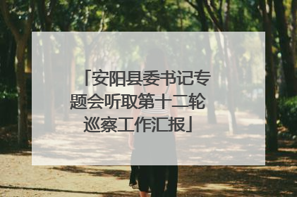 安阳县委书记专题会听取第十二轮巡察工作汇报