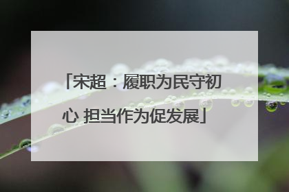 宋超：履职为民守初心 担当作为促发展