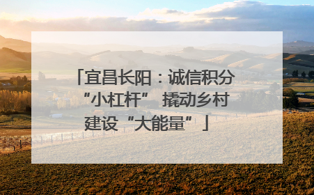 宜昌长阳：诚信积分“小杠杆” 撬动乡村建设“大能量”