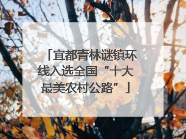 宜都青林谜镇环线入选全国“十大最美农村公路”
