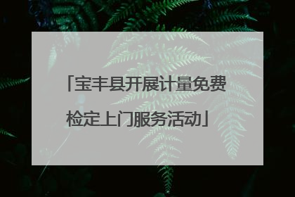 宝丰县开展计量免费检定上门服务活动