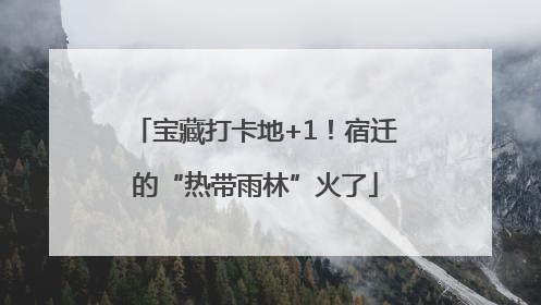 宝藏打卡地+1！宿迁的“热带雨林”火了