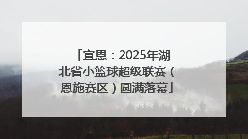 宣恩：2025年湖北省小篮球超级联赛（恩施赛区）圆满落幕