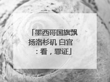 墨西哥国旗飘扬洛杉矶 白宫：看，罪证