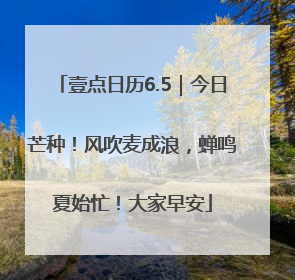 壹点日历6.5｜今日芒种！风吹麦成浪，蝉鸣夏始忙！大家早安