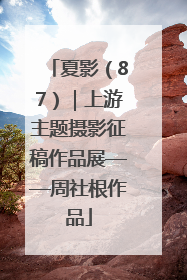 夏影（87）｜上游主题摄影征稿作品展——周社根作品