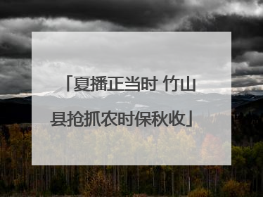夏播正当时 竹山县抢抓农时保秋收