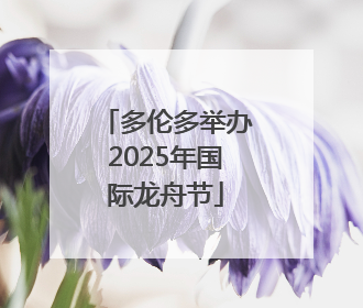 多伦多举办2025年国际龙舟节