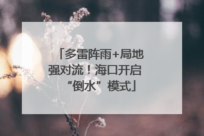 多雷阵雨+局地强对流！海口开启“倒水”模式