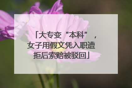 大专变“本科”，女子用假文凭入职遭拒后索赔被驳回