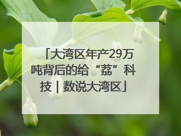大湾区年产29万吨背后的给“荔”科技｜数说大湾区