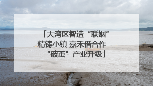 大湾区智造“联姻”精铸小镇 嘉禾借合作“破茧”产业升级